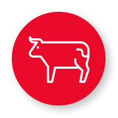 Beef